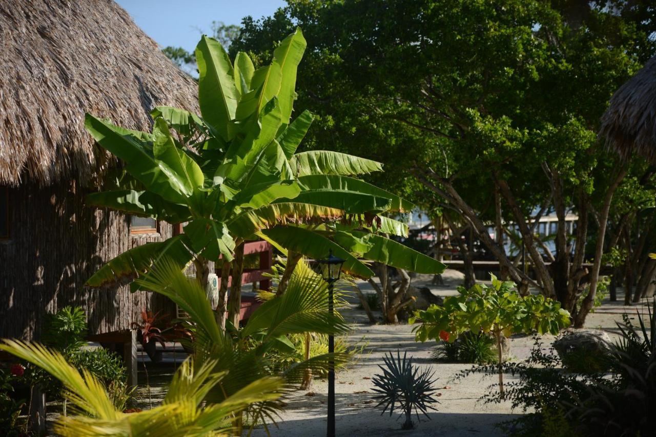 El Ben Cabanas Caye Caulker Exteriér fotografie